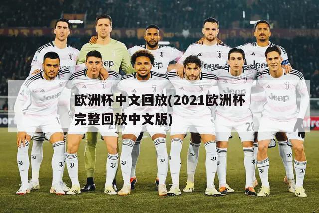 欧洲杯中文回放(2021欧洲杯完整回放中文版)