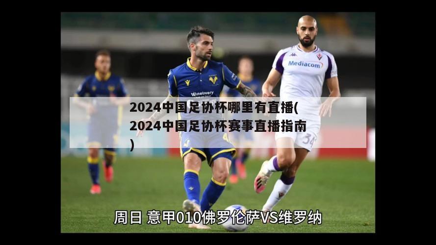 2024中国足协杯哪里有直播(2024中国足协杯赛事直播指南)